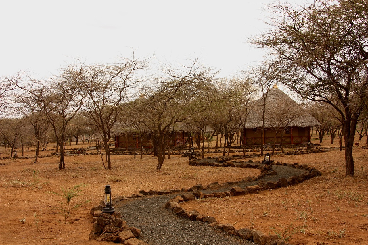 Wild Coast Tented Lodge