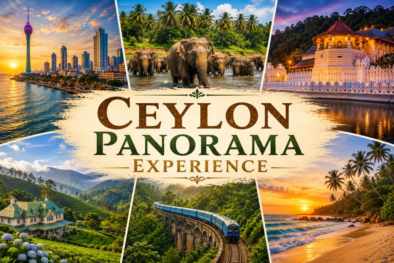 Ceylon Panorama Experience